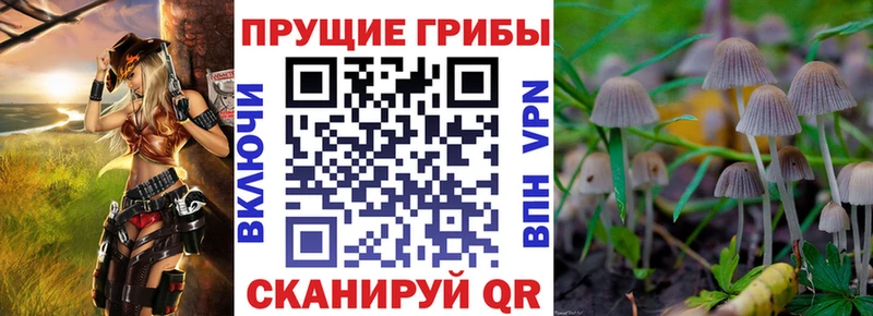 Псилоцибиновые грибы мухоморы  Фролово 