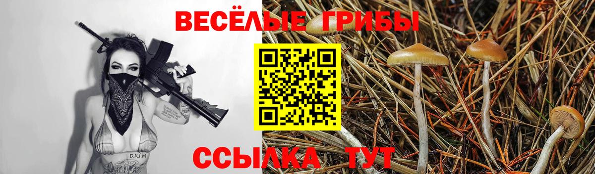 Псилоцибиновые грибы Magic Shrooms  Вход с VPN  где купить наркоту  Фролово 